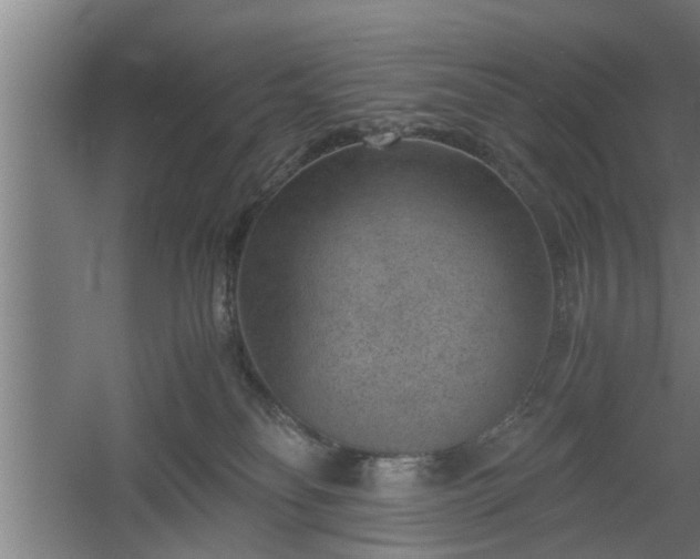 X0000060550134200511070931