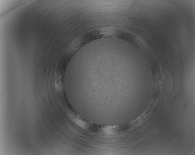 X0000060550136200511070931