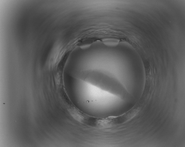 X0000060550139200511070931