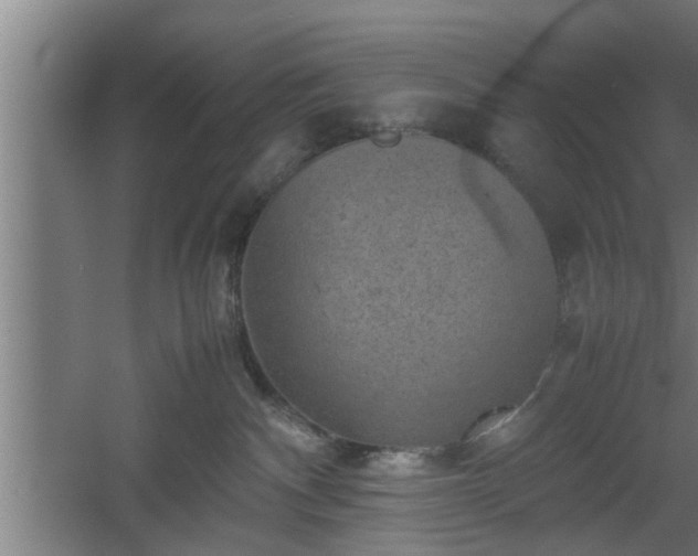 X0000060550140200511070931