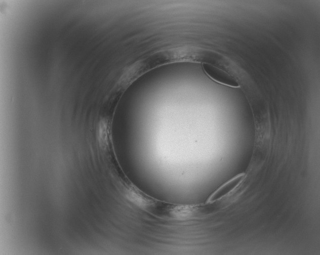 X0000060550142200511070931