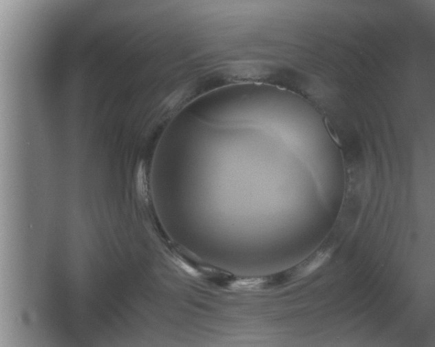 X0000060550143200511070931