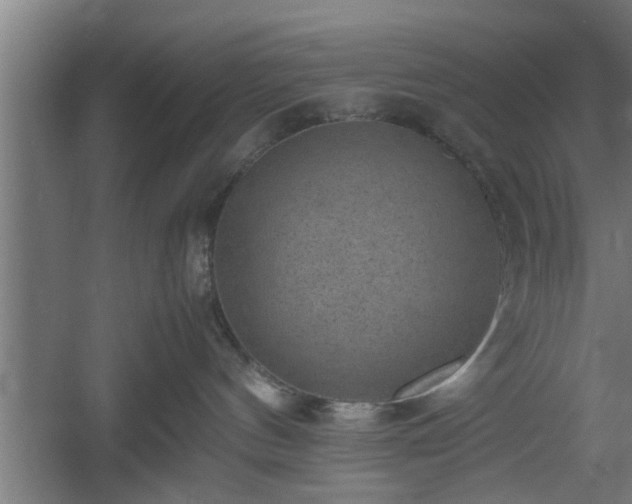 X0000060550144200511070931