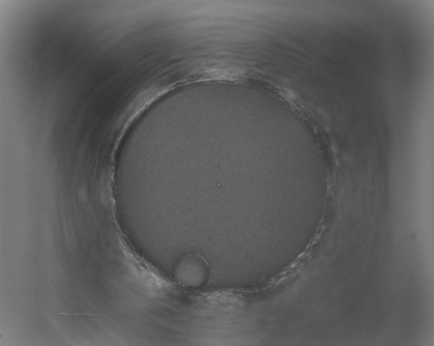 X0000060550146200511070930