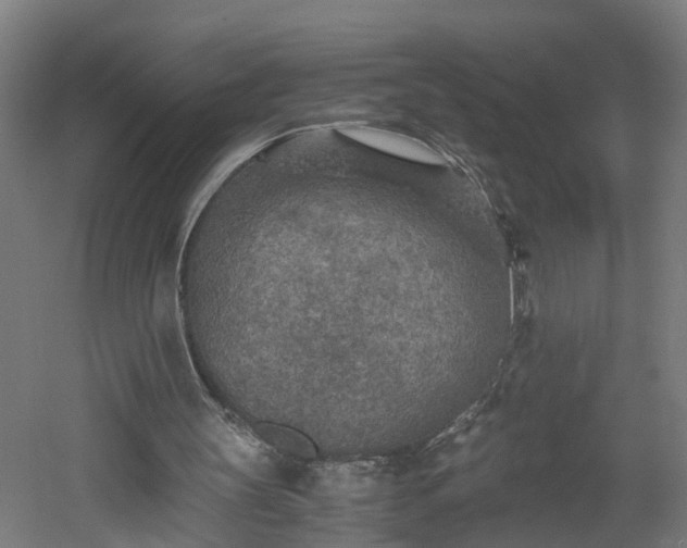 X0000060550147200511070930