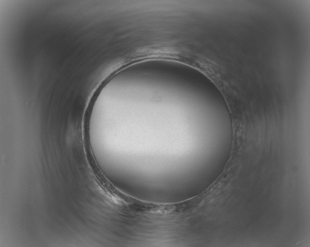 X0000060550148200511070930