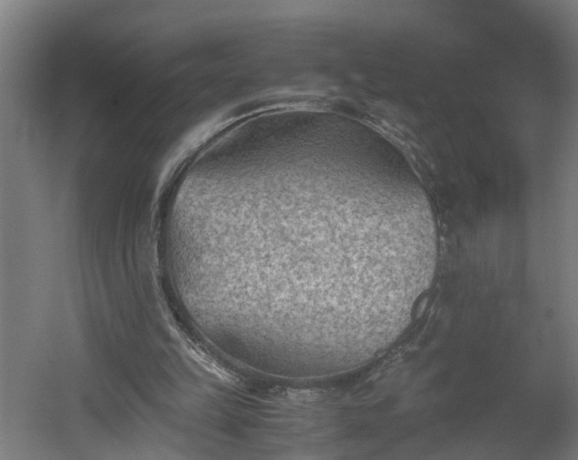 X0000060550149200511070930