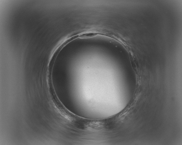 X0000060550152200511070930