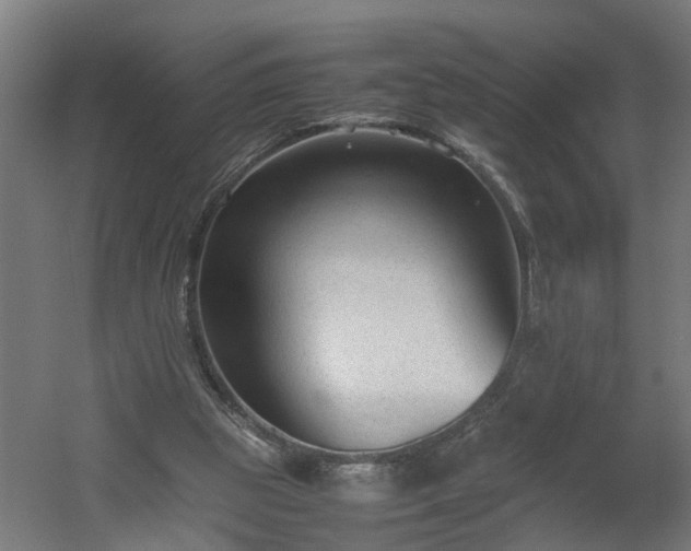 X0000060550153200511070930