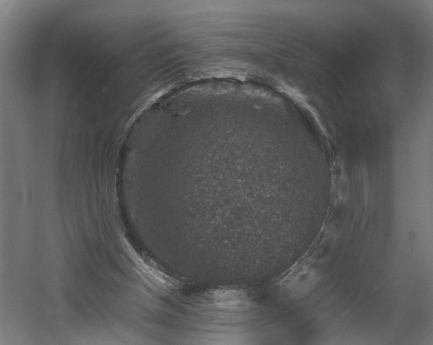 X0000060550154200511070930