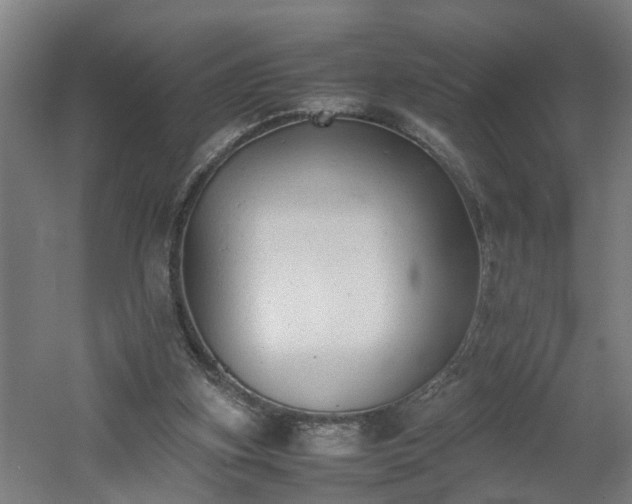 X0000060550155200511070930