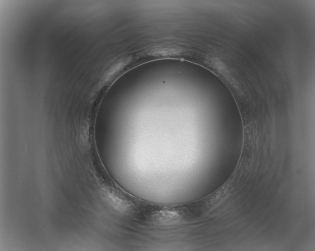 X0000060550159200511070930