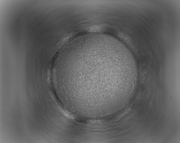 X0000060550161200511070930