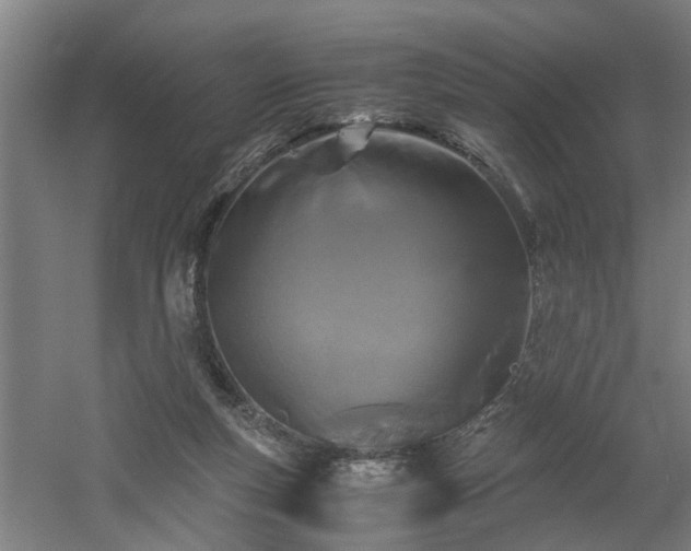 X0000060550163200511070930