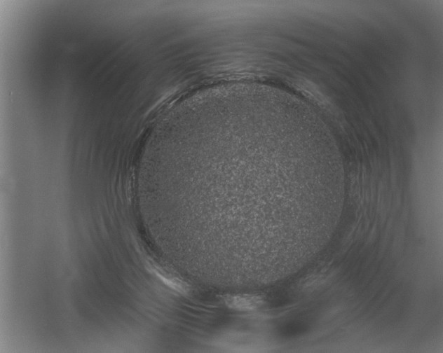 X0000060550165200511070930