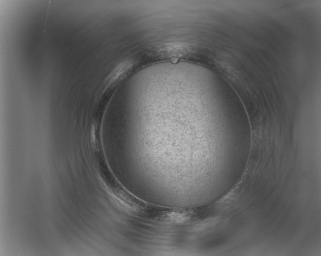 X0000060550166200511070930