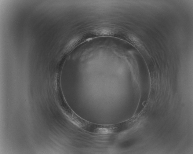 X0000060550167200511070930