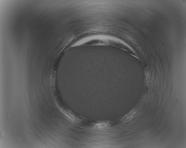 X0000060550168200511070930