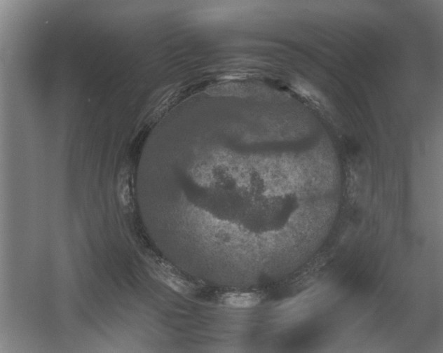 X0000060550169200511070930