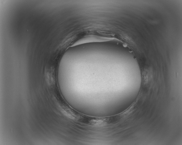 X0000060550170200511070930