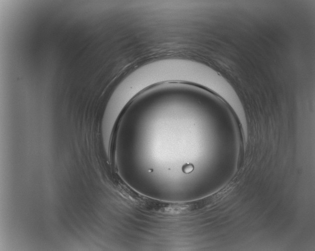 X0000060550172200511070930