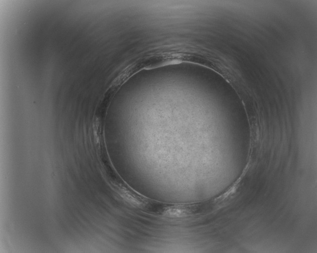 X0000060550174200511070930