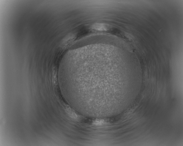 X0000060550177200511070930