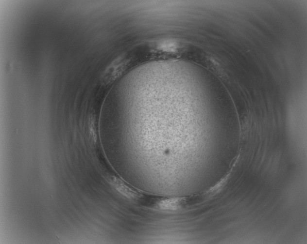 X0000060550178200511070930