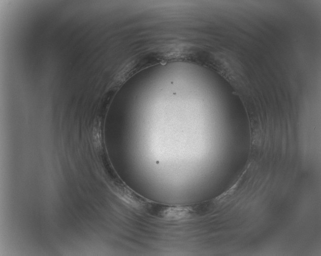 X0000060550179200511070930