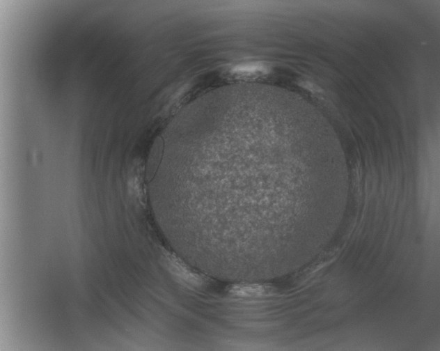 X0000060550181200511070931