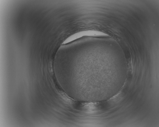 X0000060550182200511070931