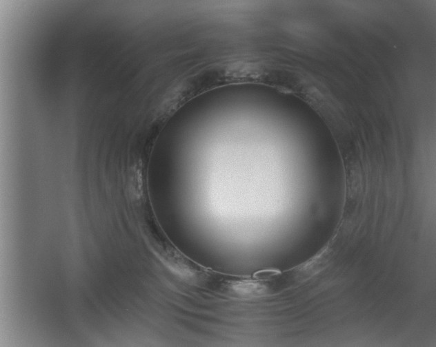 X0000060550183200511070931