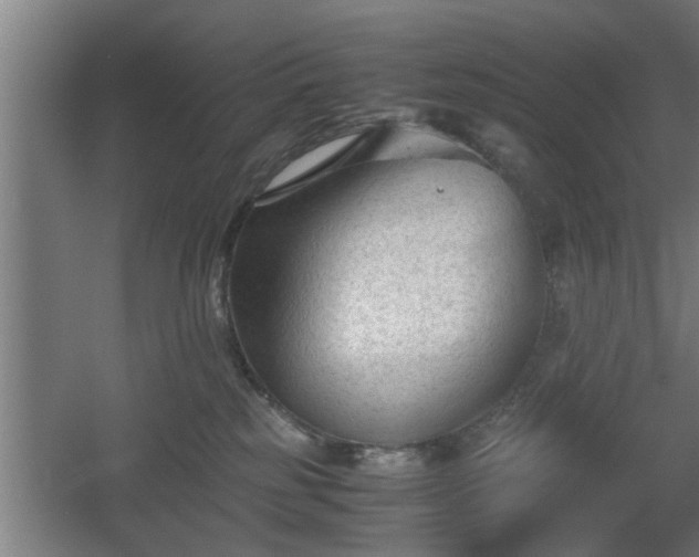 X0000060550185200511070931