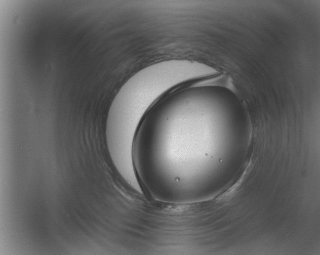 X0000060550186200511070931