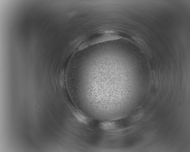 X0000060550189200511070931