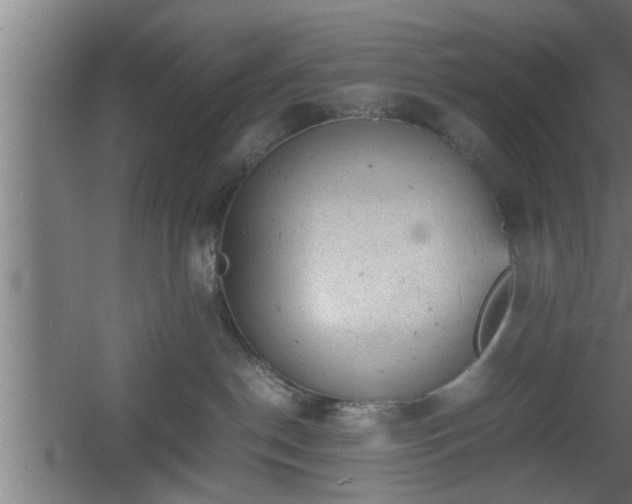 X0000060550190200511070931