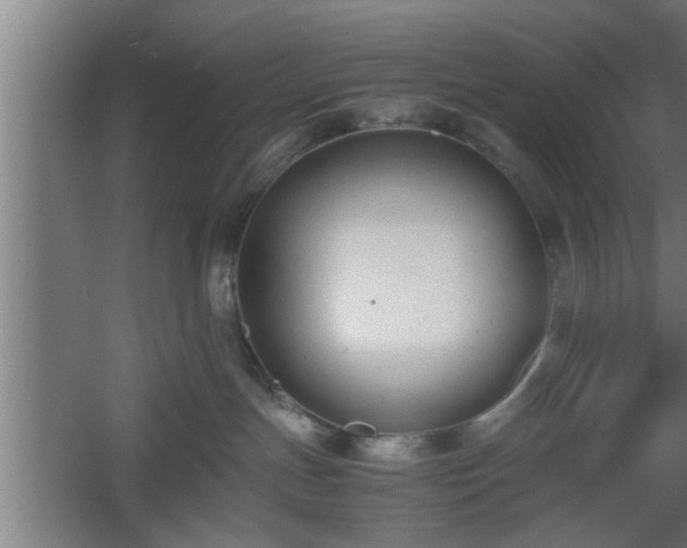 X0000060550191200511070931