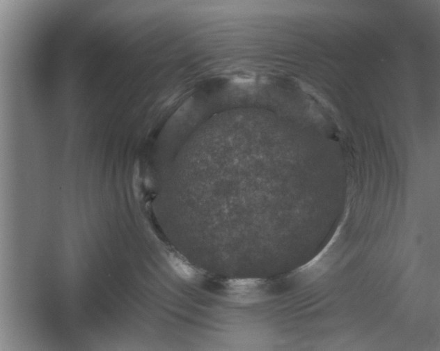 X0000060550192200511070931