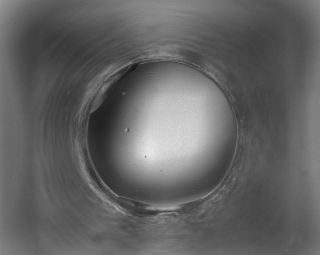 X0000060550193200511070930