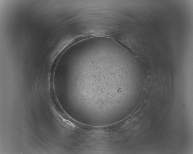 X0000060550194200511070930