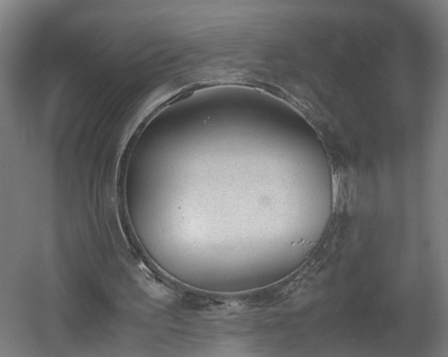 X0000060550195200511070930