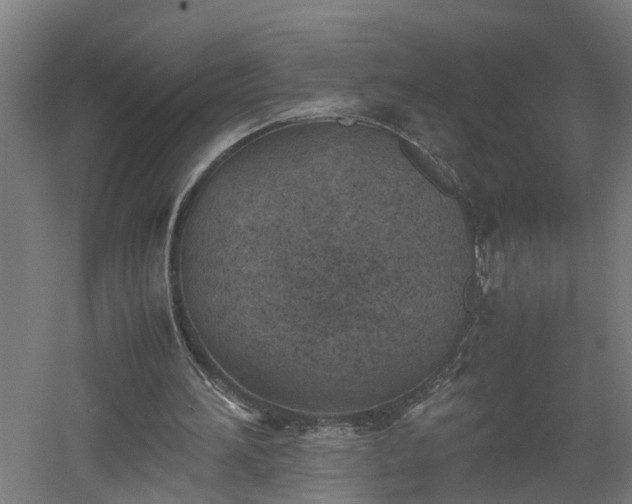 X0000060550196200511070930