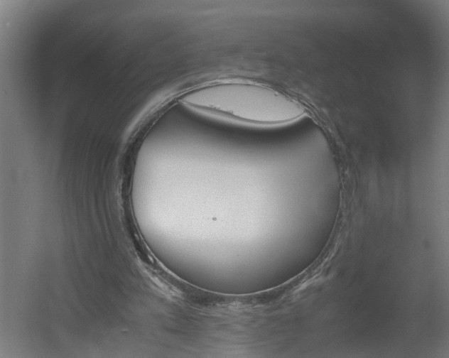 X0000060550197200511070930