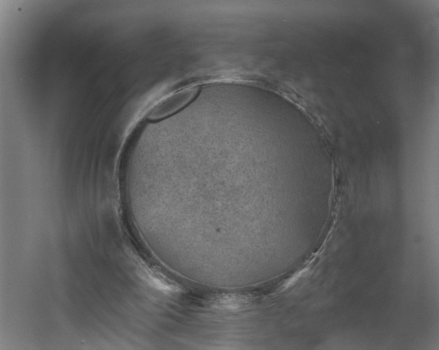 X0000060550198200511070930