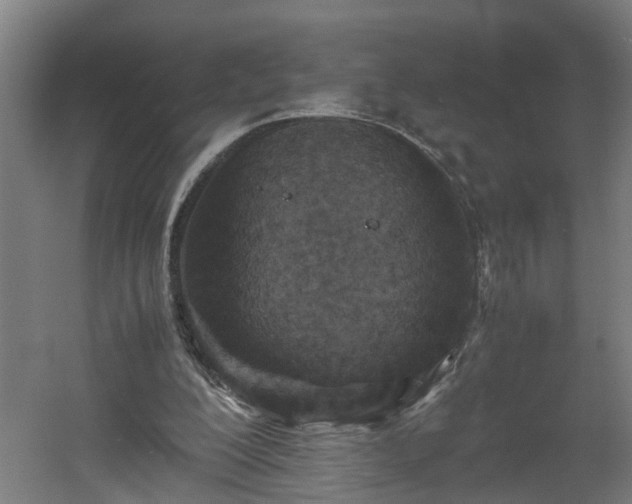 X0000060550200200511070930