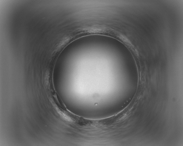 X0000060550201200511070930