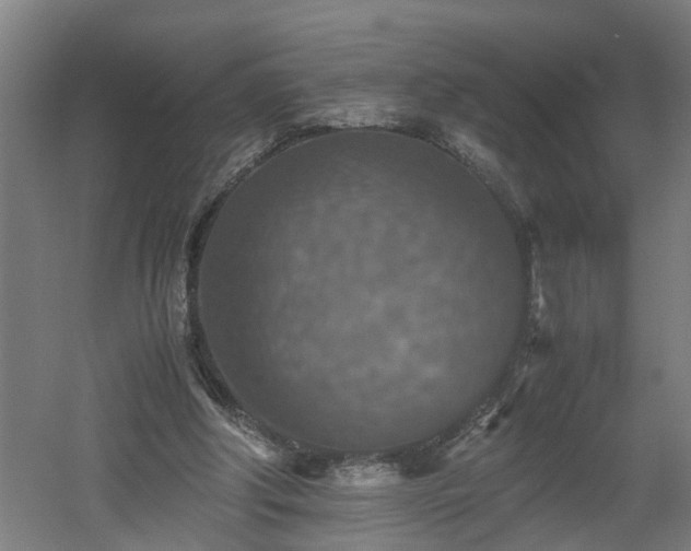 X0000060550202200511070930