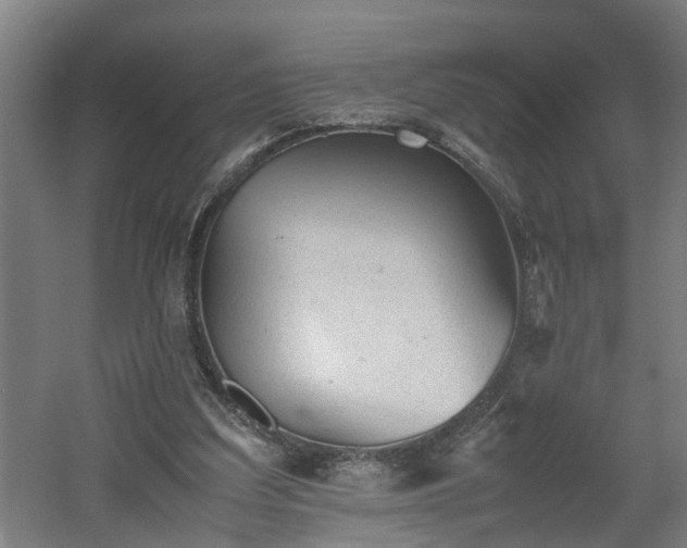 X0000060550203200511070930