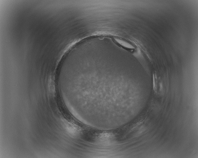 X0000060550204200511070930