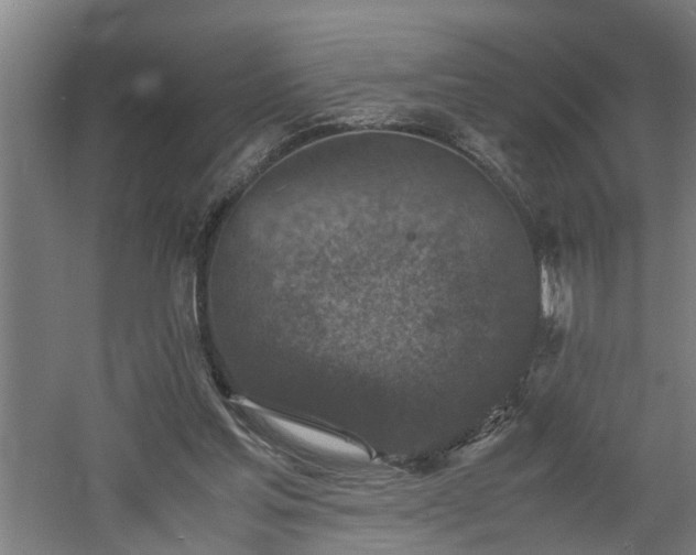 X0000060550205200511070930